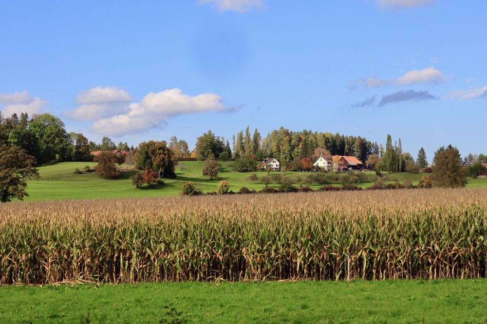 Photograph by Lyudmila Klimanova