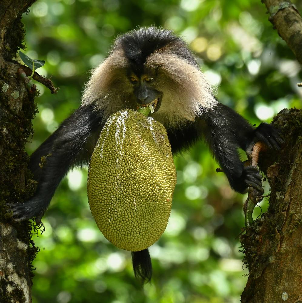 Photograph by Balaji Balaji