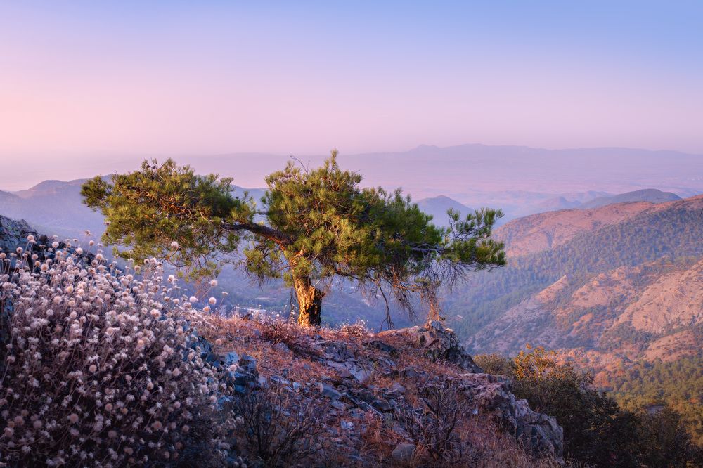 Photograph by Svetlana Tertyshnaya