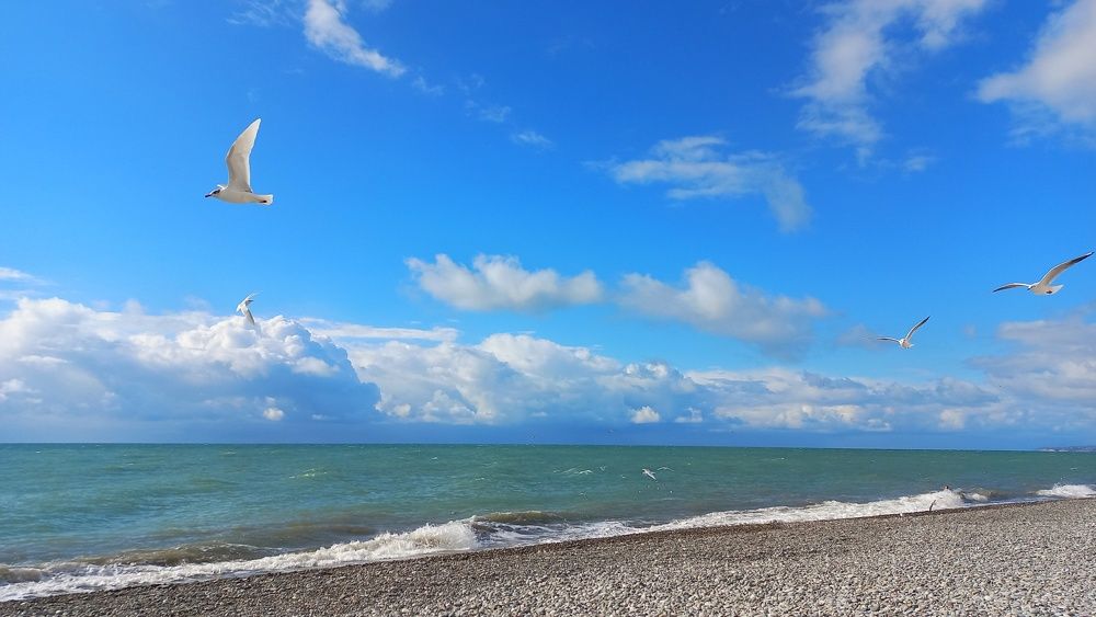 Photograph by Katerina Akalifa