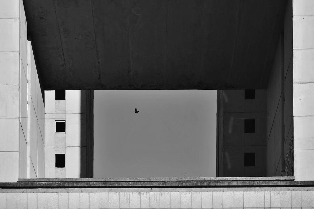 Photograph by Владимир Леликов-Кузьменко