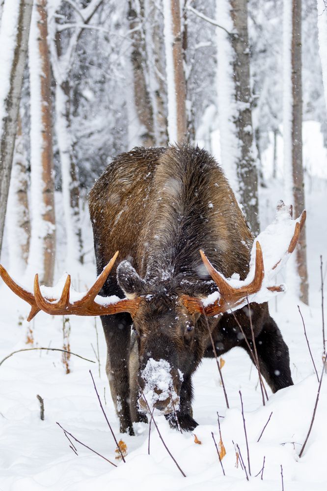 Photograph by Jared Solberg