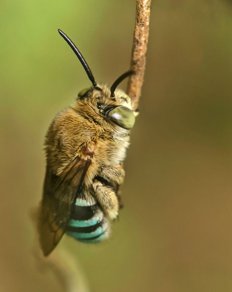 Photograph by Francis Añonuevo