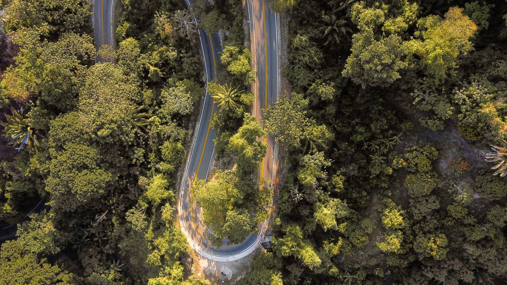 La oreja de la Sierra