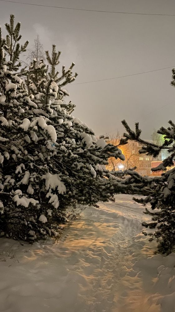 Photograph by Татьяна Никифорова