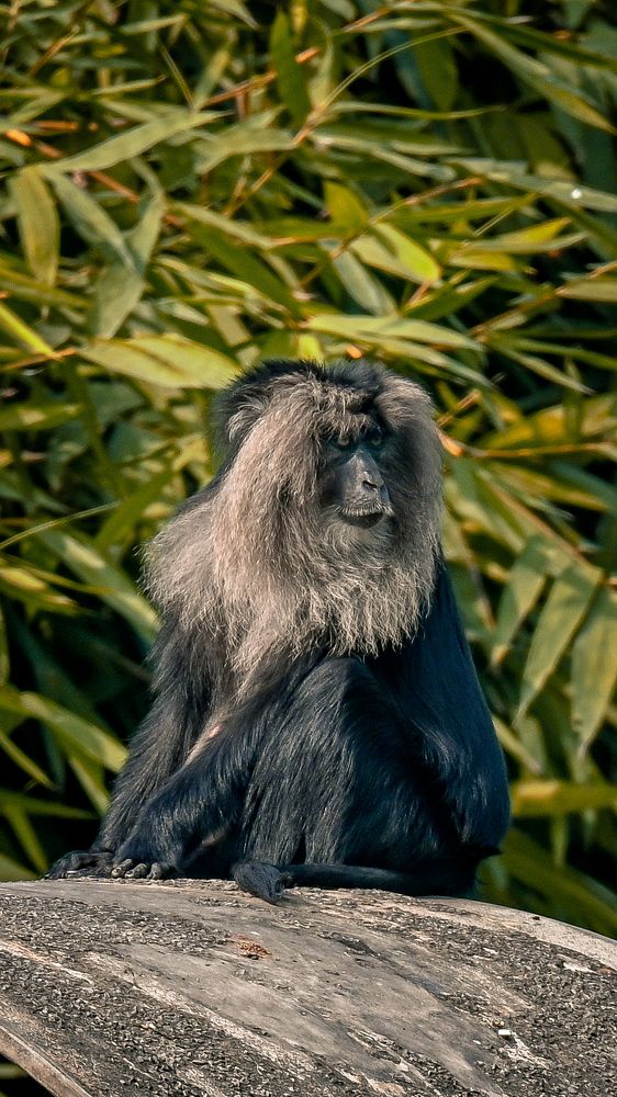 Фотография автора Aadi Saxena