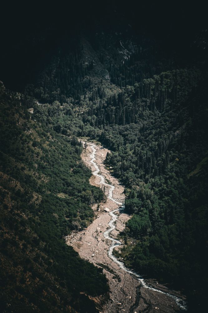 Фотография автора X Fedeeng