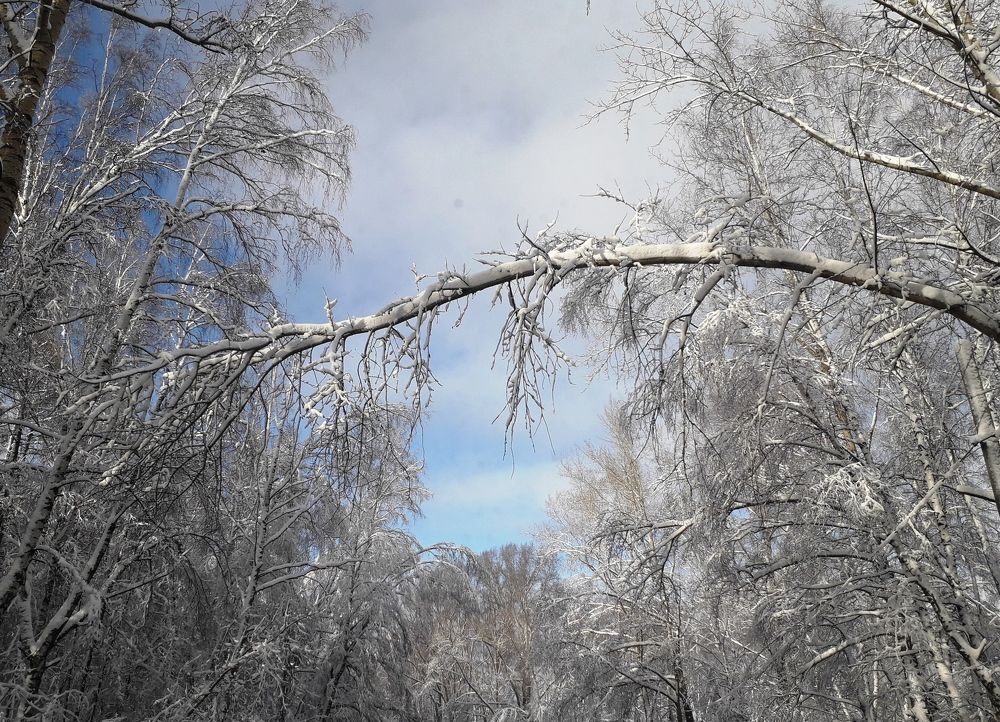 Photograph by Удовченко Елена