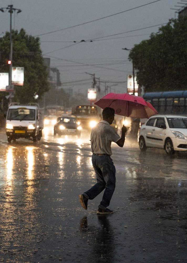 Photograph by Susnata majumder
