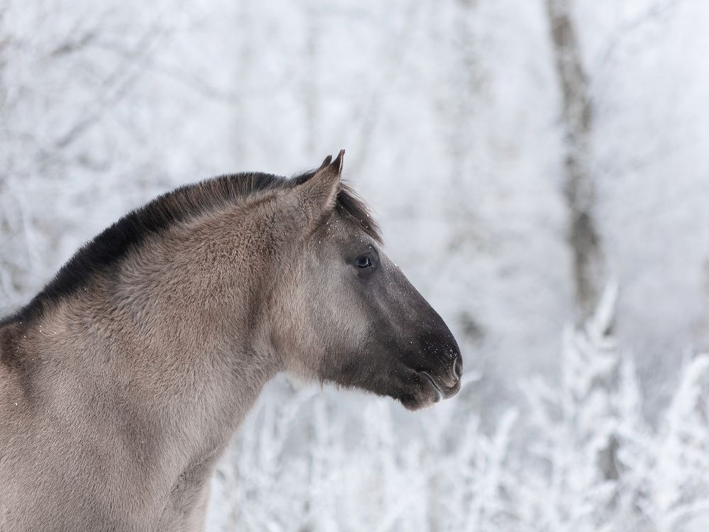 Photograph by Варвара Торокина