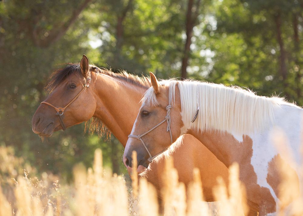 Photograph by Варвара Торокина