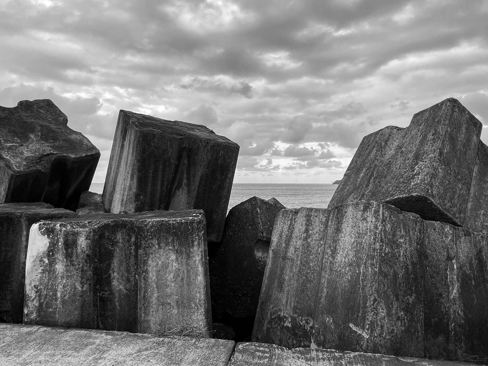 Photograph by Christine ECHEVET-ADAM de VILLIERS