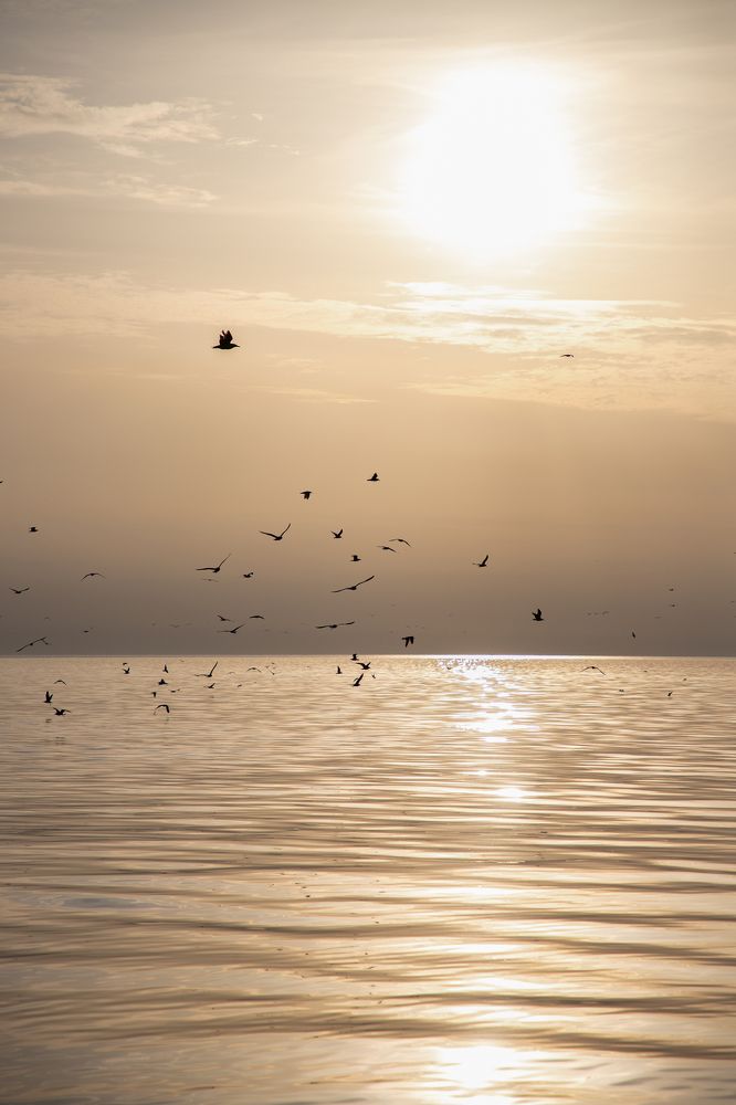 Photograph by Anna Fedorova