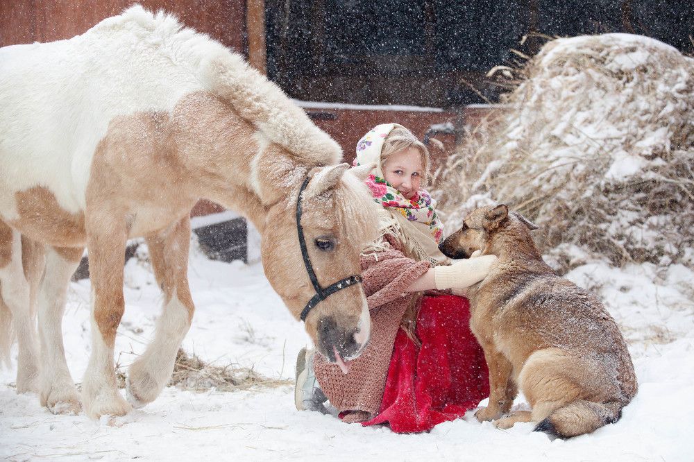 Фотография автора Елена Гордиевская