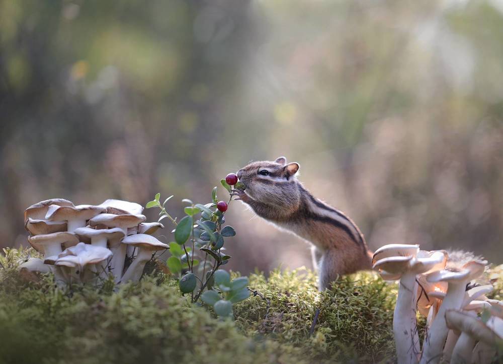 Кисленькая!