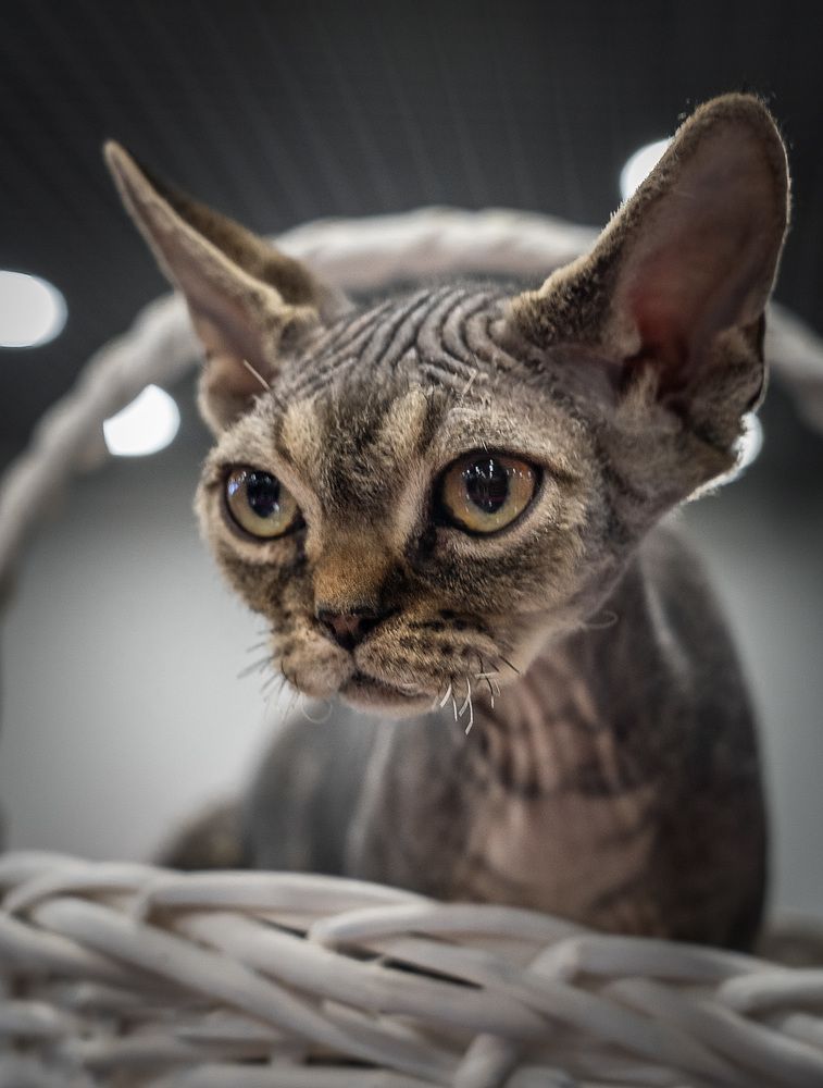 Photograph by Ирина Остапенко