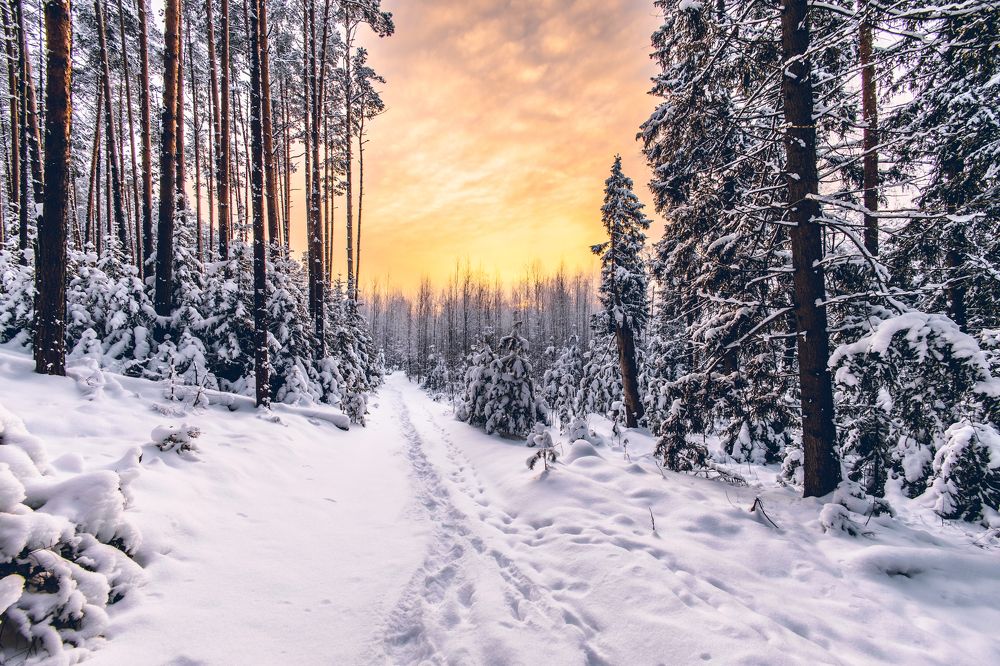 Photograph by Максим Шишков