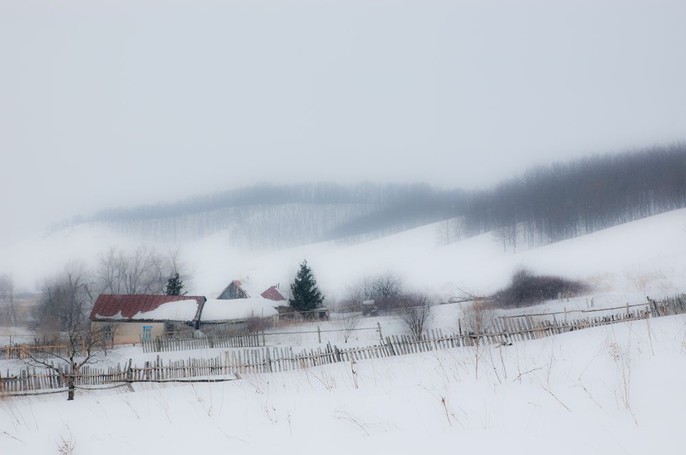 Photograph by Новиков Владимир