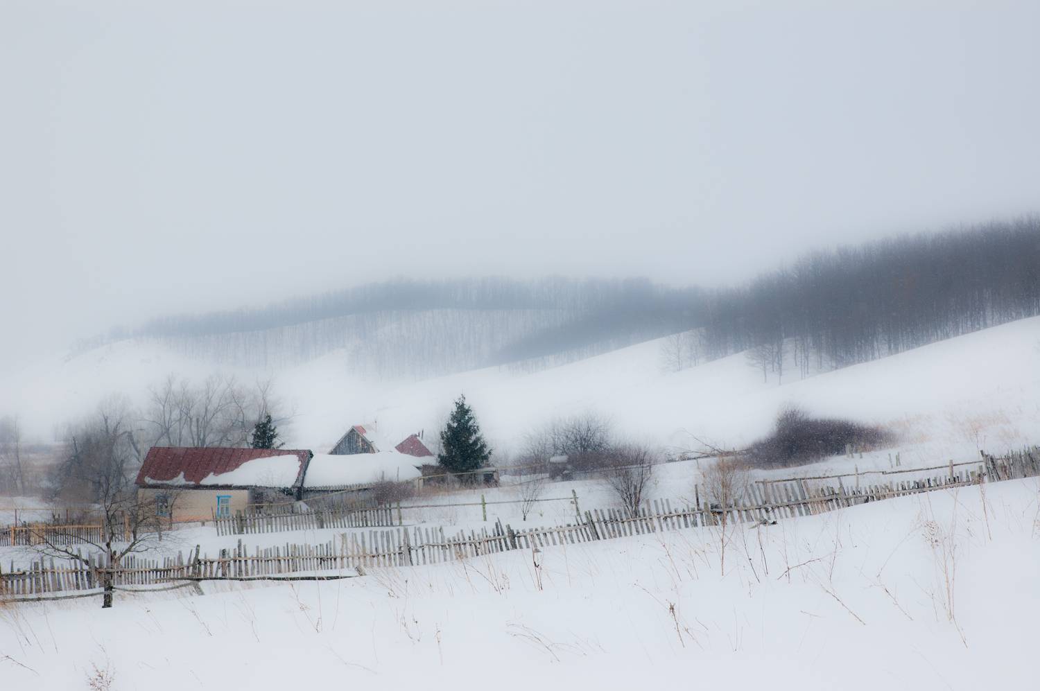 Photo #10232946