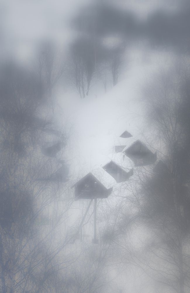 Photograph by Vitaly Vachrushev