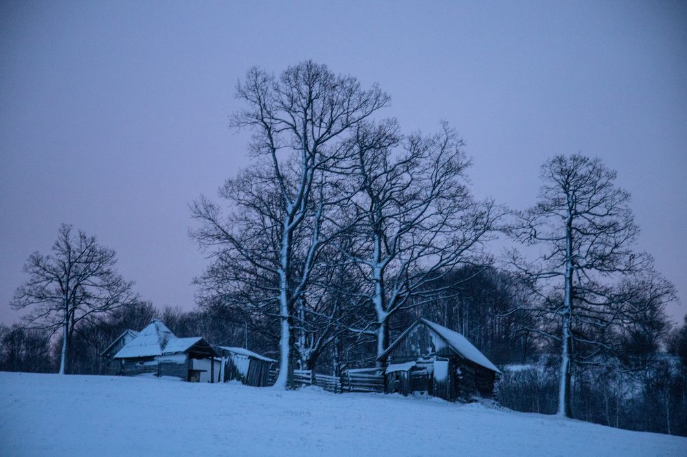 Photograph by Татьяна Алексеева
