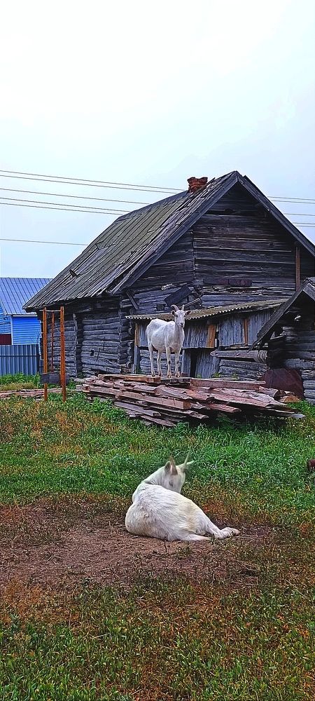 И здесь была когда-то жизнь