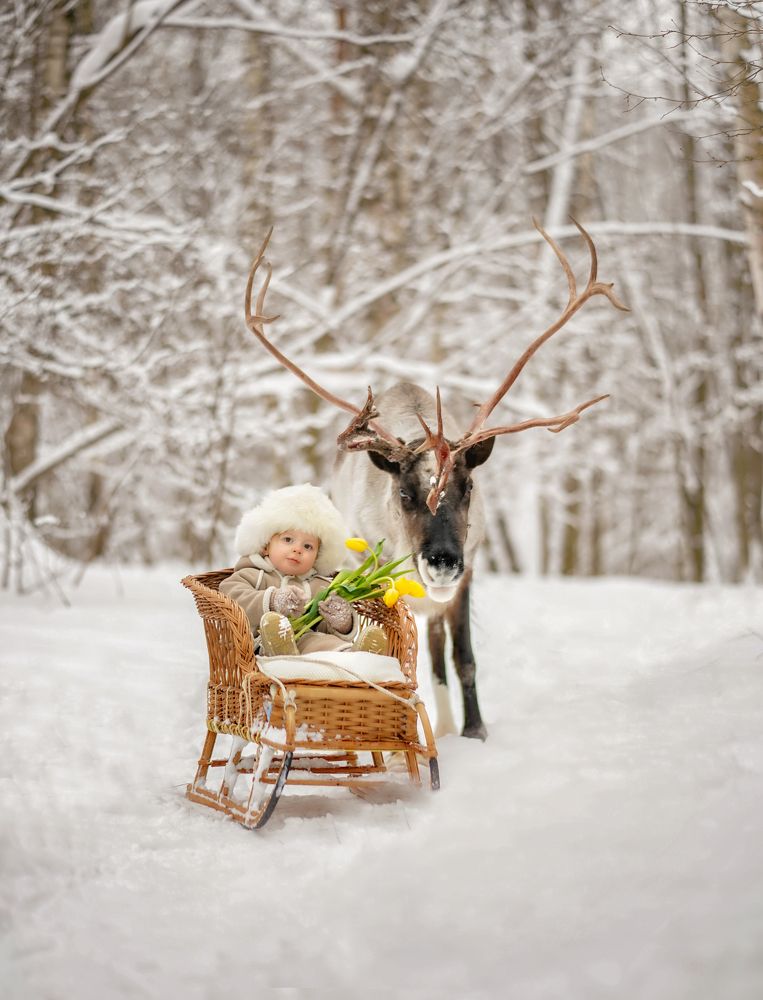 Photograph by Ольга Власкина