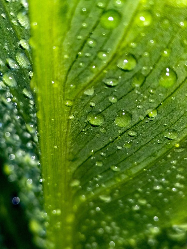 Фотография автора Bernadette Pretorius