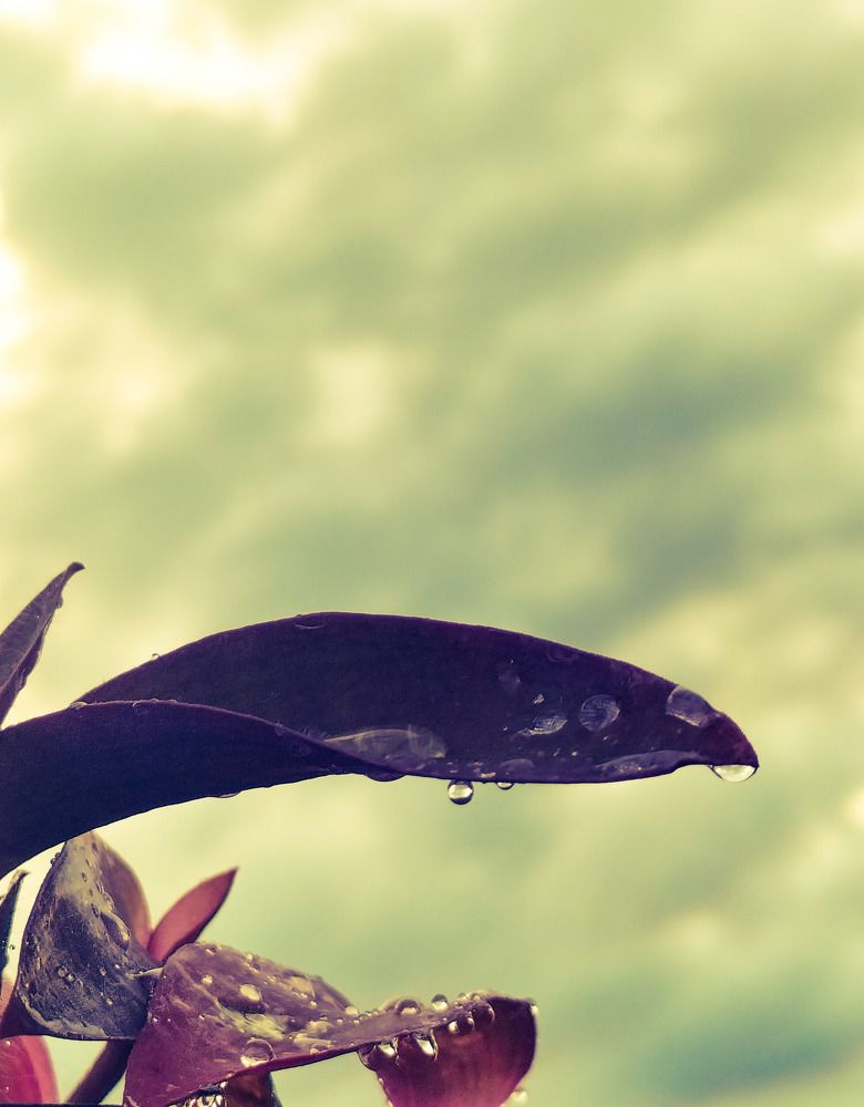 Фотография автора Bernadette Pretorius