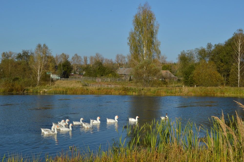 Photograph by Анна Богданова