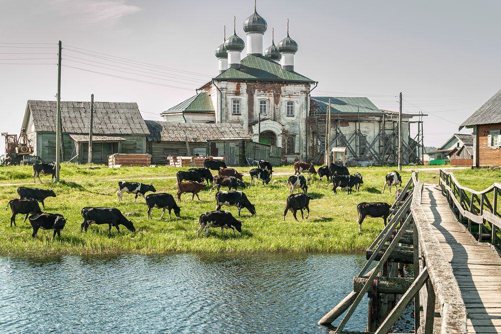 Photograph by Елена Захарова