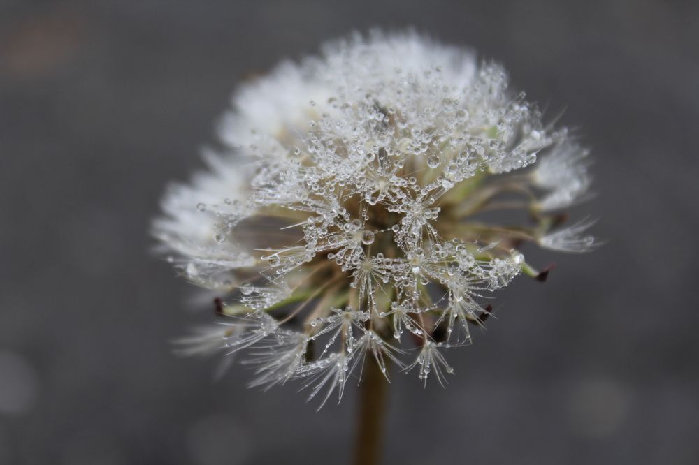 Photograph by Юлия Рыбинцева