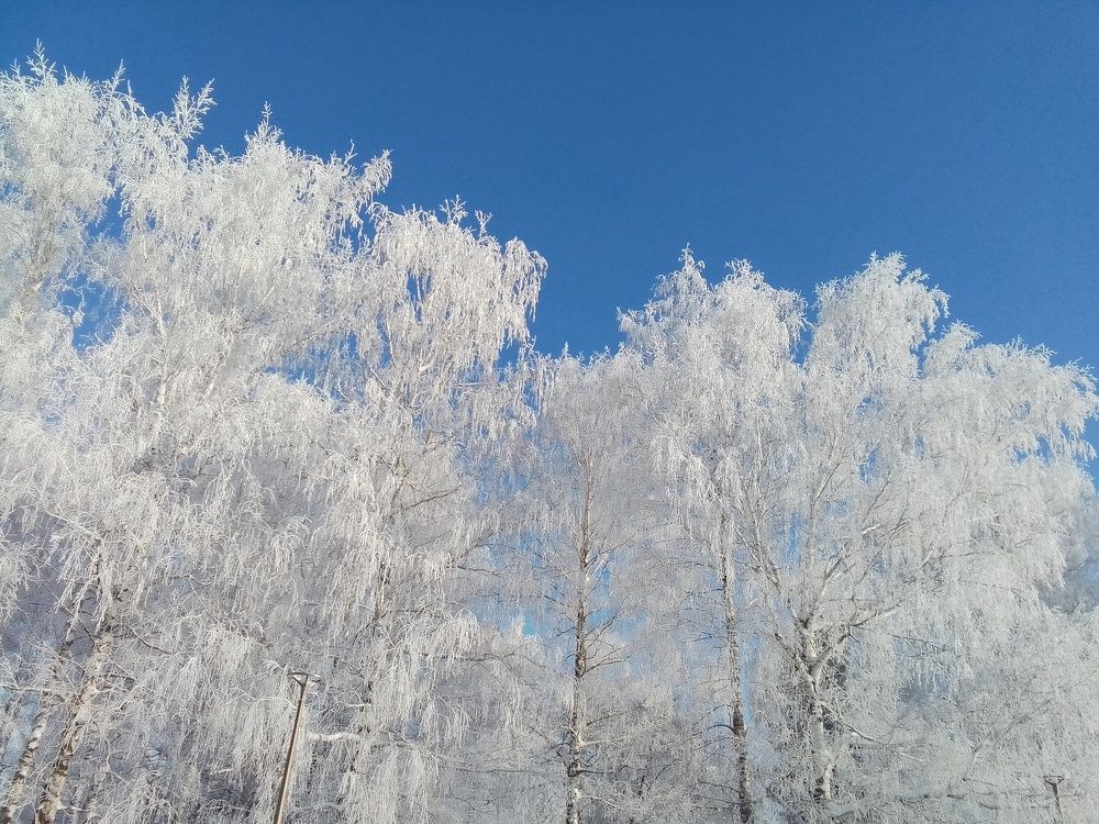 Photograph by Лилия Исхакова