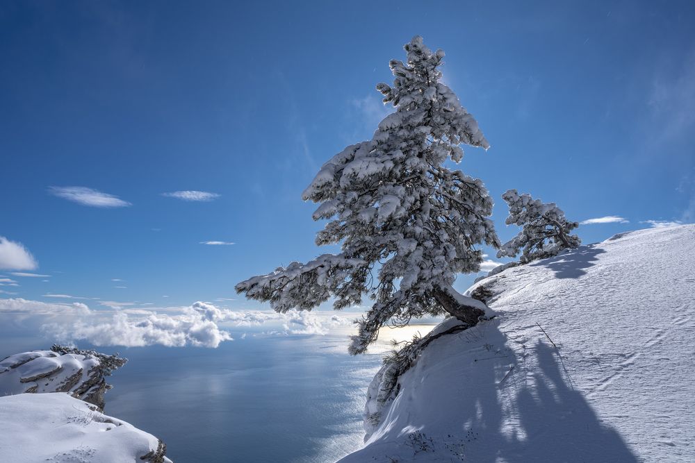 Photograph by Виктор Филипчук