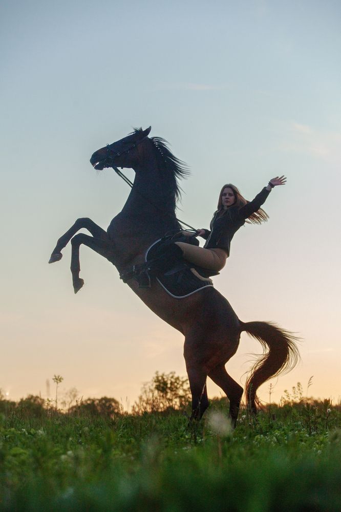 Фотография автора Елена Гордиевская