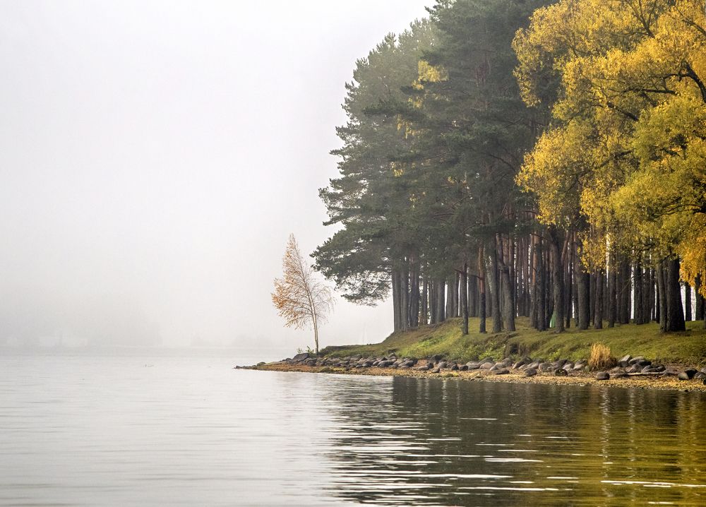 Photograph by Артем Филипеня