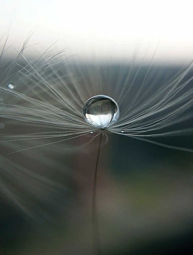 Совершенство.