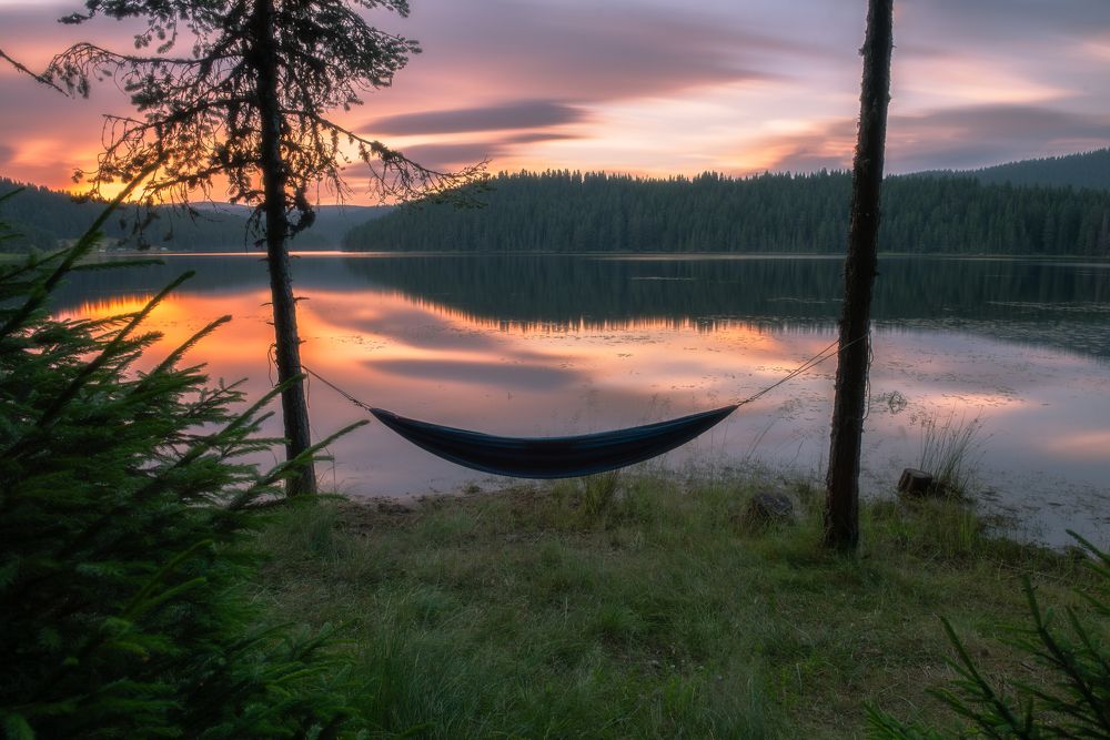 Фотография автора Lyuboslav Bochev