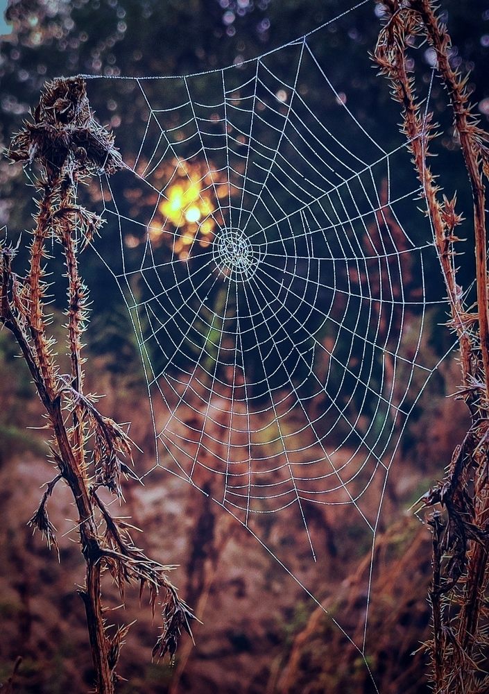 Photograph by Наталья Исиченко