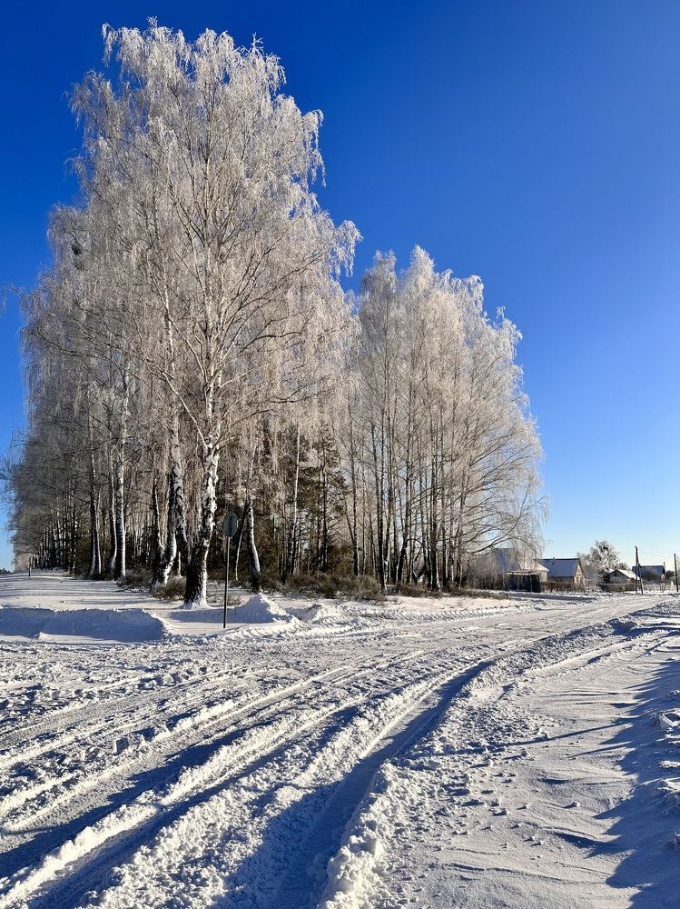 Photograph by Лариса Акинчиц