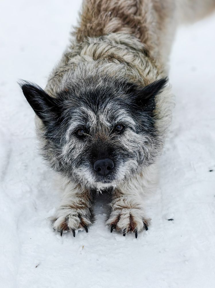 Photograph by Наташа Черепенина