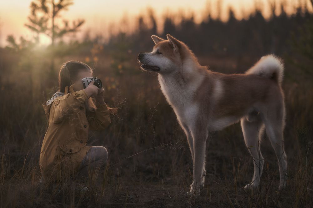 Photograph by Андрей Сердюченко