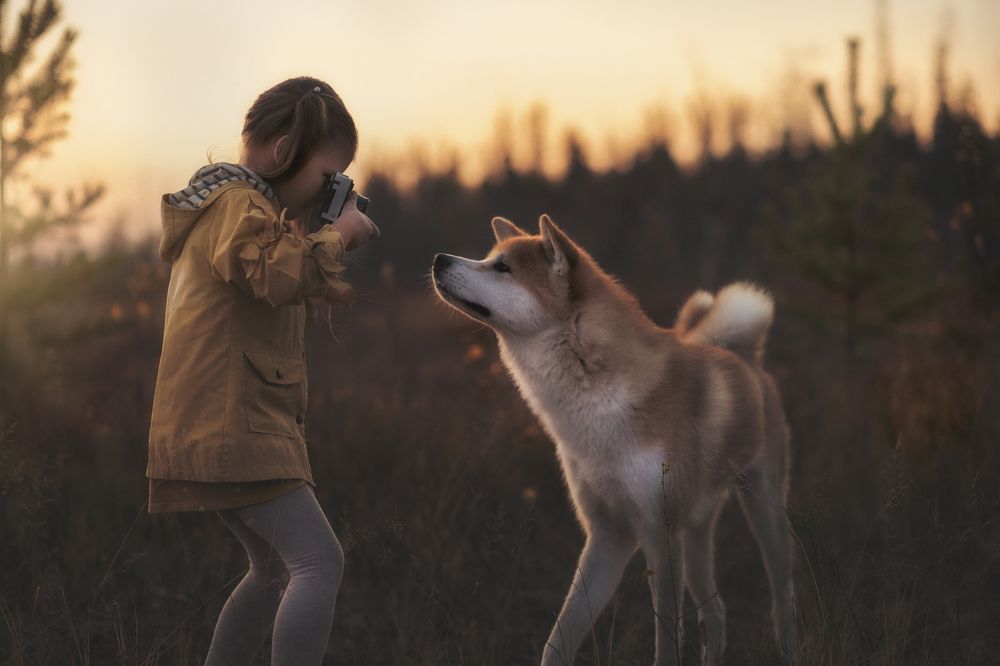 Photograph by Андрей Сердюченко