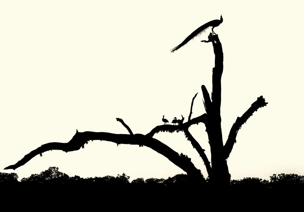 Photograph by Irina Grigoryeva