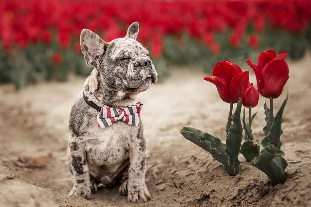 Photograph by Gertrude Goené