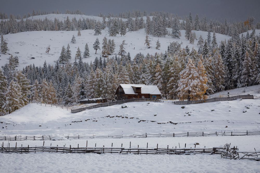 Photograph by Мария Казакова