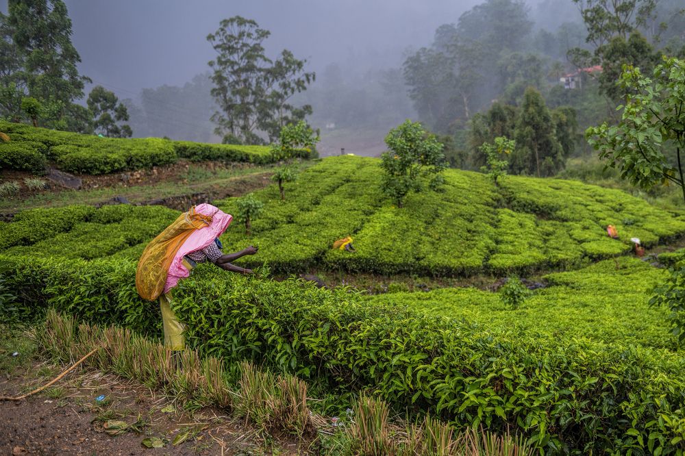 Photograph by Irina Grigoryeva