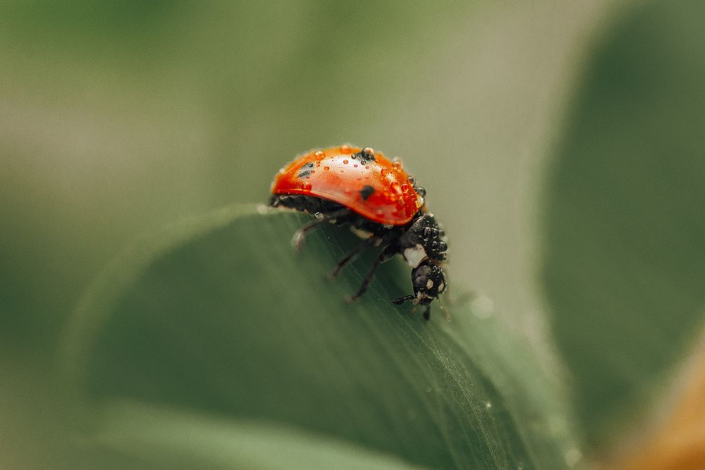 Photograph by Анна Бобкова