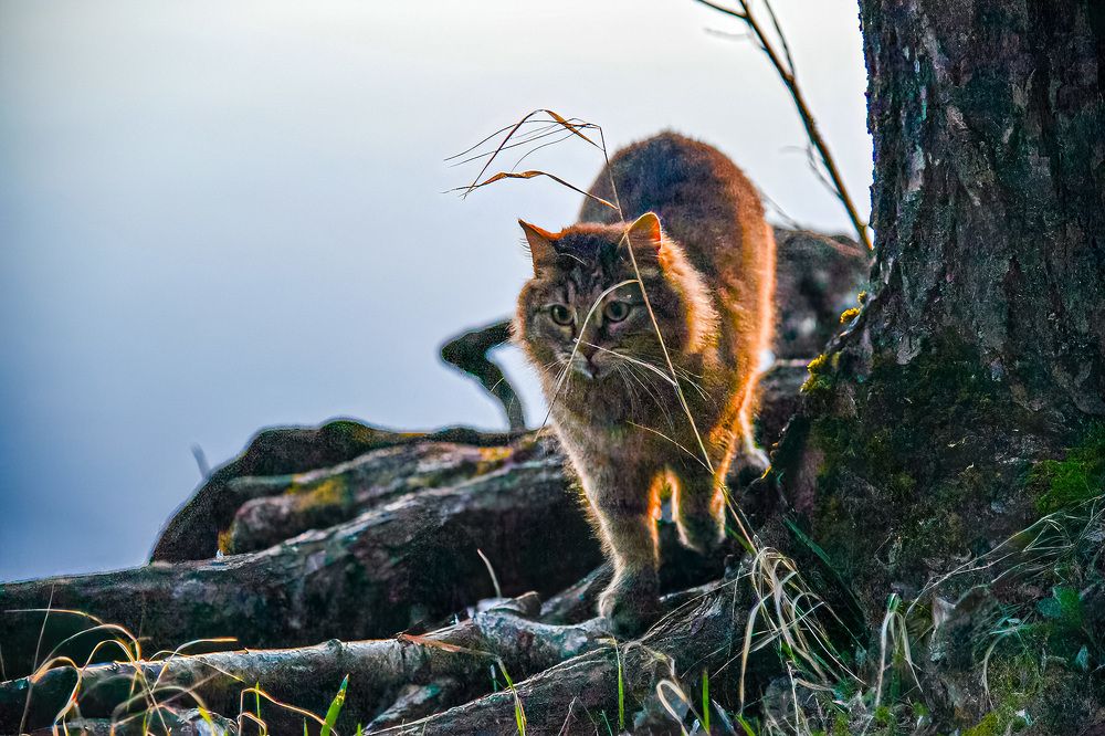 Photograph by Валерия