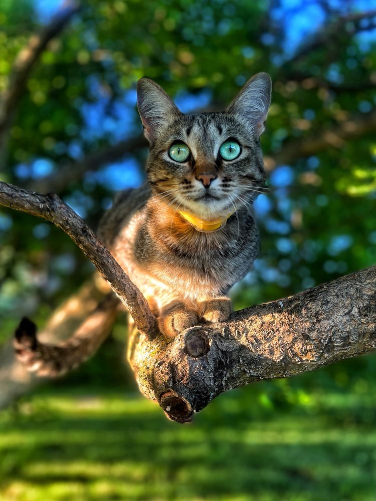 Photograph by Валерия